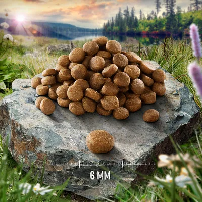 Hundefoder i pilleform, diameter 6 mm, præsenteret på en sten. Baggrund viser natur med skov og solnedgang.