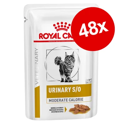 Royal Canin Urinary S/O Moderate Calorie Veterinary kattefoder, 48x. Tekst: Morsels in gravy, Moderat kalorieindhold. Billede af kat og foderstykker i sovs på emballagen.