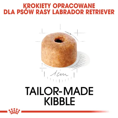 KROKIETY OPRACOWANE DLA PSÓW RASY LABRADOR RETRIEVER, Tailor-made kibble, ilustracja krokieta o średnicy 1 cm