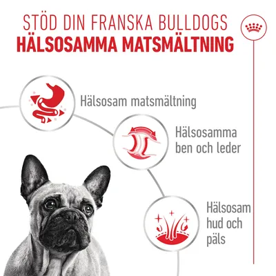 Royal Canin French Bulldog Loaf - Ekonomipack: 24 x 85 g