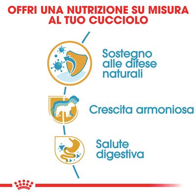 Offri una nutrizione su misura al tuo cucciolo: Sostegno alle difese naturali, Crescita armoniosa, Salute digestiva.
