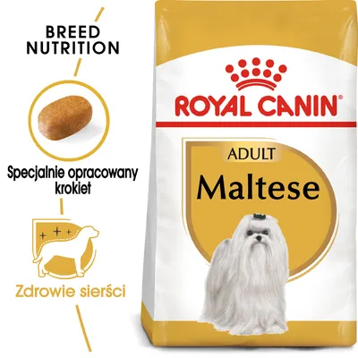 ROYAL CANIN ADULT Maltese, specjalnie opracowany krokiet, zdrowie sierści. Opakowanie karmy z ilustracją psa rasy maltańczyk.