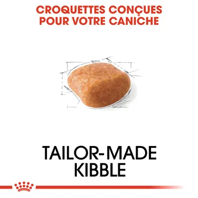 Croquettes conçues pour votre caniche. Texte en anglais : tailor-made kibble. Image d’une croquette individuelle sur fond blanc avec esquisse technique.