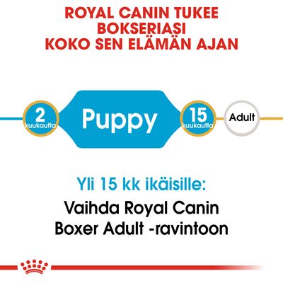 Royal Canin tukee bokseriasi koko elämän ajan. 2–15 kuukautta: Puppy. Yli 15 kk ikäisille: Vaihda Royal Canin Boxer Adult -ravintoon.