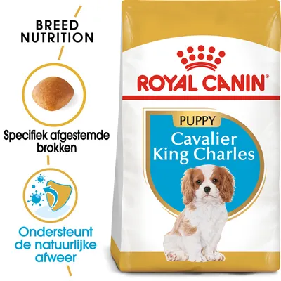 Royal Canin Puppy Cavalier King Charles hondenvoer, specifiek afgestemde brokken, ondersteunt de natuurlijke afweer. Afbeelding van een puppy en brokvorm zichtbaar op de verpakking. Royal Canin Puppy Cavalier King Charles hondenvoer, specifiek afgestemde brokken, ondersteunt de natuurlijke afweer. Afbeelding van een puppy en brokvorm zichtbaar op de verpakking.