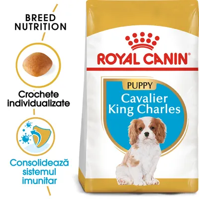 Pachet Royal Canin Puppy Cavalier King Charles, imagine cu croșetă individualizată și text: Crochete individualizate, Consolidează sistemul imunitar.