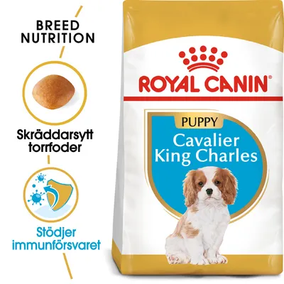 Royal Canin Puppy Cavalier King Charles torrfoder, skräddarsytt torrfoder, stöder immunförsvaret. Bild på foderbit och valp av rasen Cavalier King Charles.