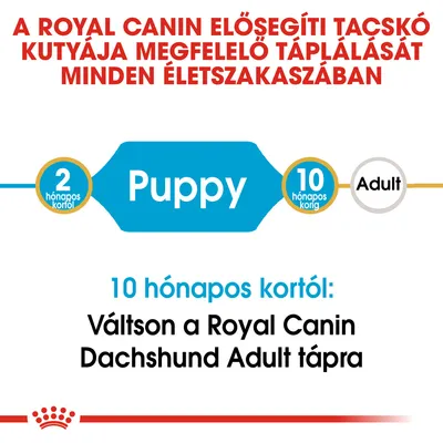 A Royal Canin elősegíti tacskó kutyája megfelelő táplálását minden életszakaszban. 2 hónapos kortól Puppy, 10 hónapos korig, utána Adult. Váltson a Royal Canin Dachshund Adult tápra.