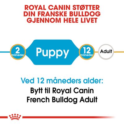 Royal Canin French Bulldog Puppy