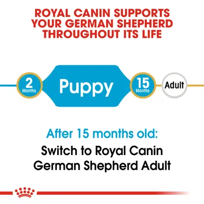 ROYAL CANIN SUPPORTS YOUR GERMAN SHEPHERD THROUGHOUT ITS LIFE. 2 Months Puppy 15 Months Adult. After 15 months old: Switch to Royal Canin German Shepherd Adult.