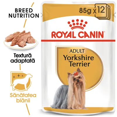 Pachet Royal Canin Adult Yorkshire Terrier 85g x12, text: Textură adaptată, Sănătatea blănii, imagine cu hrană umedă și un câine Yorkshire Terrier.