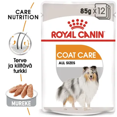 Royal Canin Coat Care All Sizes, 85 g x12. Terve ja kiiltävä turkki, mureke. Kuvassa pitkäkarvainen koira ja tuotepakkaus.