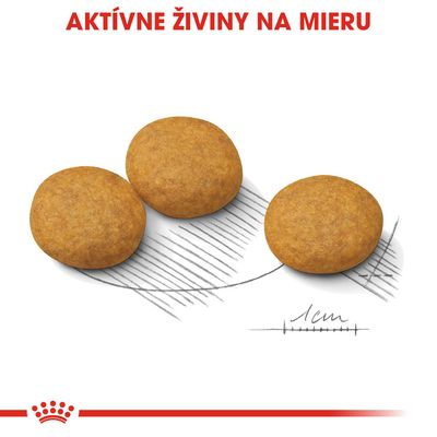 Tri granule s priemerom približne 1 cm, nad nimi červený text: AKTÍVNE ŽIVINY NA MIERU. Značka Royal Canin v dolnej časti obrázka.