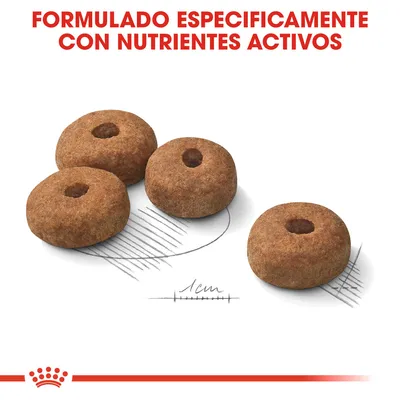 Cuatro croquetas redondas, diámetro aprox. 1 cm, con texto: Formulado específicamente con nutrientes activos. Cuatro croquetas redondas, diámetro aprox. 1 cm, con texto: Formulado específicamente con nutrientes activos.