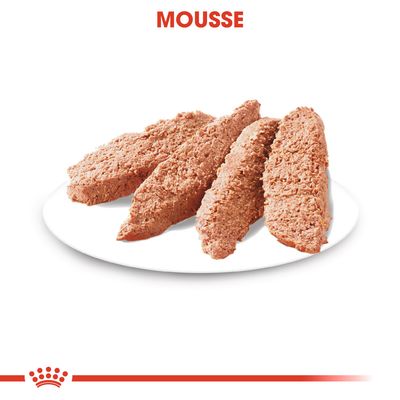 Quatre parts de mousse pour animaux sur une assiette blanche, texte visible en haut : MOUSSE