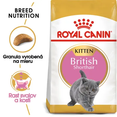 ROYAL CANIN KITTEN British Shorthair, granula vyrobená na mieru, rast svalov a kostí. Balenie s obrázkom mačiatka britskej krátkosrstej.