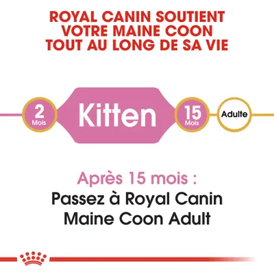 Royal Canin soutient votre Maine Coon tout au long de sa vie. De 2 à 15 mois : Kitten. Après 15 mois, passez à Royal Canin Maine Coon Adult.