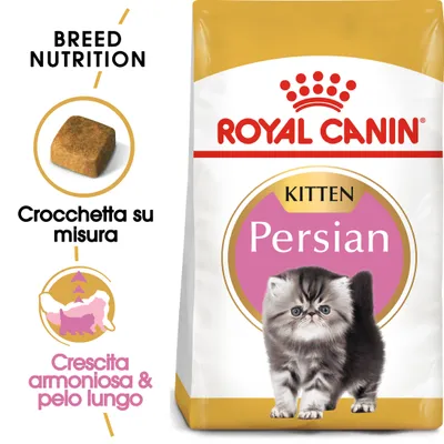 Royal Canin Kitten Persian, crocchetta su misura, crescita armoniosa & pelo lungo. Immagine di un gattino persiano e della confezione del prodotto.