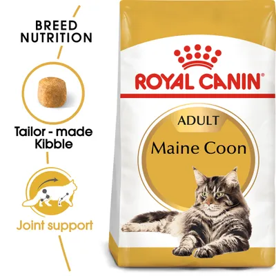 Adult Maine Coon food with tailor-made kibble and joint support features shown. Breed nutrition highlighted.
