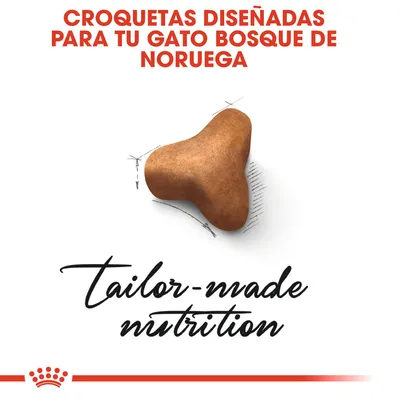 Croquetas diseñadas para tu gato Bosque de Noruega. Texto en inglés: tailor-made nutrition. Imagen de una croqueta marrón con forma triangular.