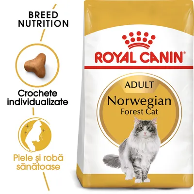 Hrană uscată Royal Canin Adult Norwegian Forest Cat, text vizibil: Crochete individualizate, Piele și robă sănătoase, imagine cu o pisică și o croșetă.