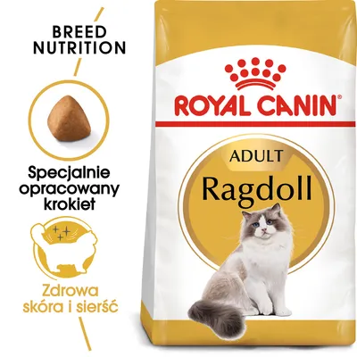 ROYAL CANIN ADULT Ragdoll, specjalnie opracowany krokiet, zdrowa skóra i sierść. Opakowanie karmy z wizerunkiem kota rasy ragdoll.