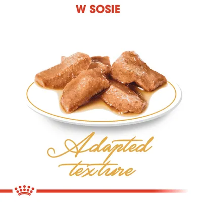Kawałki karmy w sosie na talerzu, widoczny napis: W SOSIE, Adapted texture