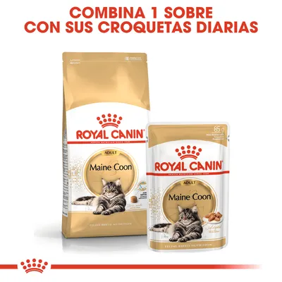 ROYAL CANIN Maine Coon Adult. Imagen de saco y sobre de comida para gatos. Texto visible: Combina 1 sobre con sus croquetas diarias.