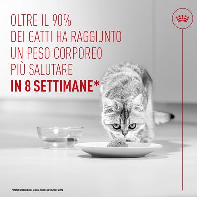 Royal Canin Light Weight Care AirLift Mousse