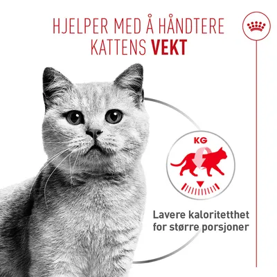 Royal Canin Light Weight Care AirLift Mousse Royal Canin Light Weight Care AirLift Mousse