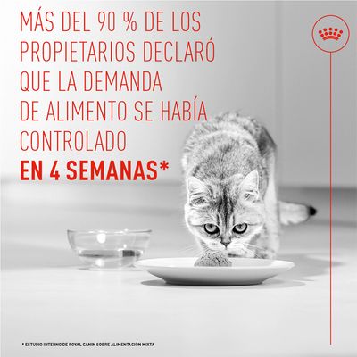 Royal Canin Appetite Control Care AirLift Mousse