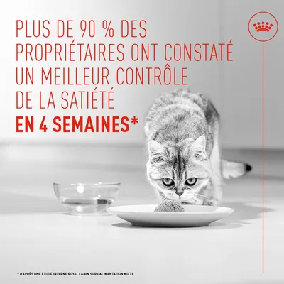 Royal Canin Appetite Control Care Mousse AirLift - lot économique : 24 x 85 g