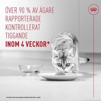 Royal Canin Appetite Control Care AirLift Mousse