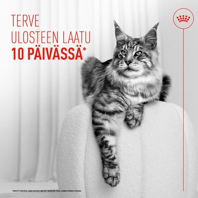 Teksti kuvassa: Terve ulosteen laatu 10 päivässä. Kissa istuu valkoisen huonekalun päällä. Punainen kruunusymboli oikeassa yläkulmassa.