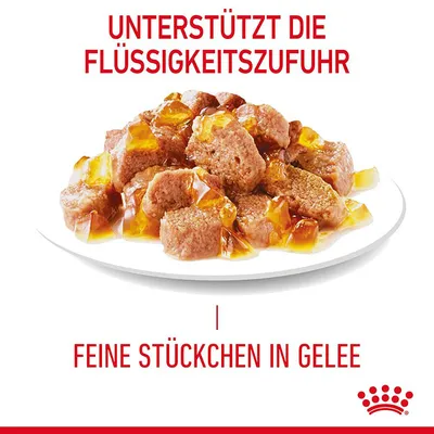 Unterstützt die Flüssigkeitszufuhr. Feine Stückchen in Gelee auf weissem Teller, Royal Canin Logo unten rechts.