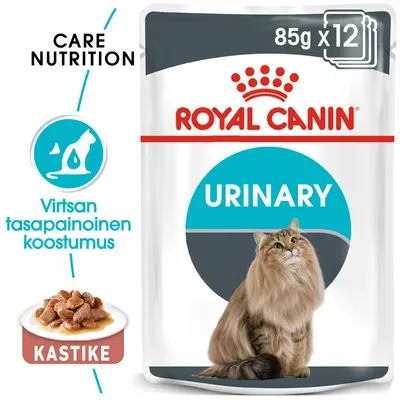 Royal Canin URINARY kastike, 85 g x12. Virtsan tasapainoinen koostumus. Kuvassa annos kastikeruokaa ja pitkäkarvainen kissa.
