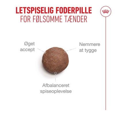 Royal Canin Ageing 11+ - 400 g