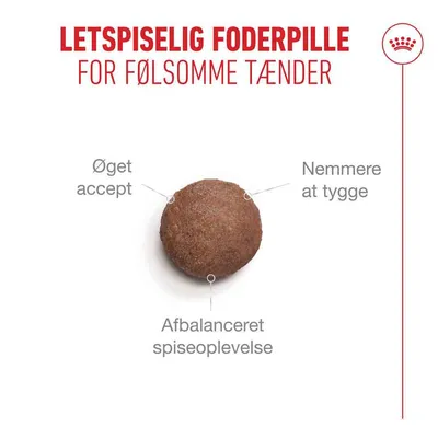 Royal Canin Ageing 11+ - 400 g