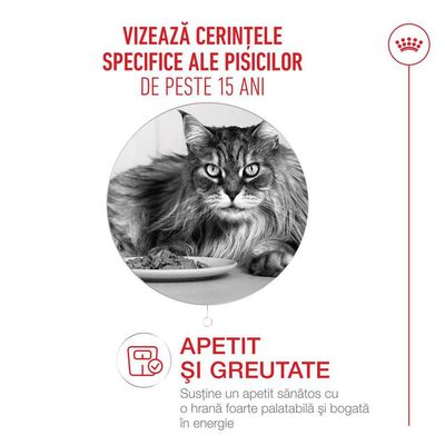 Imaginea unei pisici cu hrană. Text: Apetit și greutate, susține un apetit sănătos cu o hrană foarte gustoasă și bogată în energie pentru pisici de peste 15 ani.
