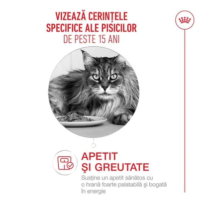 Imaginea unei pisici cu hrană. Text: Apetit și greutate, susține un apetit sănătos cu o hrană foarte gustoasă și bogată în energie pentru pisici de peste 15 ani.