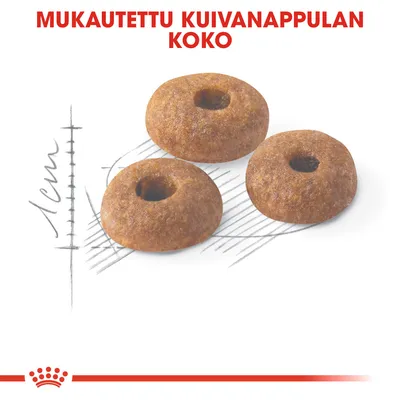 Mukautettu kuivanappulan koko, kolme rengasmaista nappulaa viivapiirroksen päällä, mitta 1 cm näkyvissä. Teksti: MUKAUTETTU KUIVANAPPULAN KOKO.
