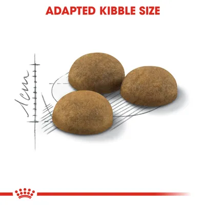 Three pieces of kibble shown with a diagram indicating adapted size, each approximately 1cm in diameter. Text reads: Adapted Kibble Size.
