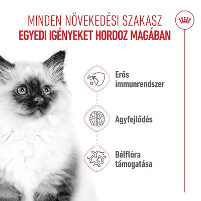 Royal Canin Kitten