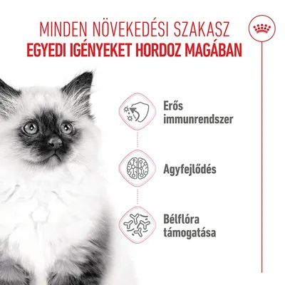 Royal Canin Kitten  - 2 kg