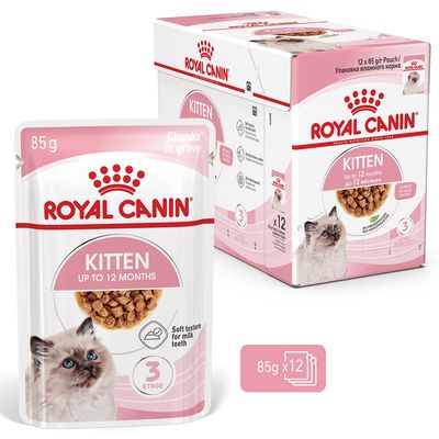 Royal Canin Kitten em molho