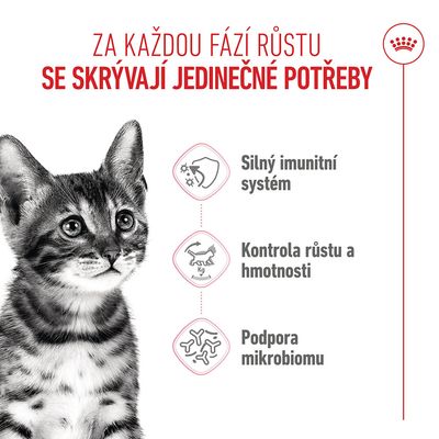 Grafika s kočkou a třemi body: posílení imunitního systému, kontrola růstu a hmotnosti, podpora mikrobiomu. Text v češtině.