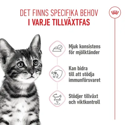 Royal Canin Sterilised Kitten i sås - 12 x 85 g