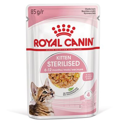 Royal Canin Kitten Sterilised em molho