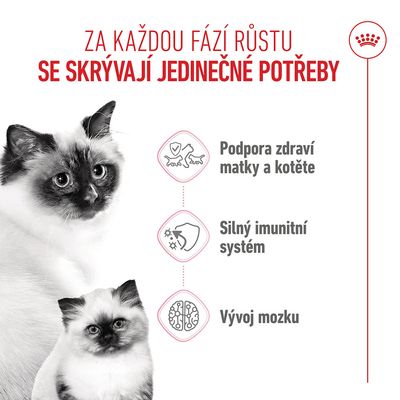 Grafika se třemi body: podpora zdraví matky a mláděte, silný imunitní systém, vývoj mozku. Zobrazeny dvě kočky.