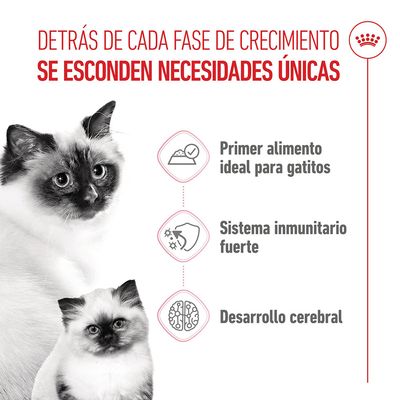 Royal Canin Mother & Babycat Ultra Soft Mousse